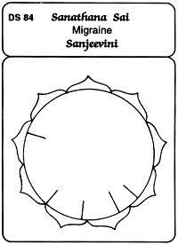 ds84