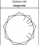 sai epilepsy